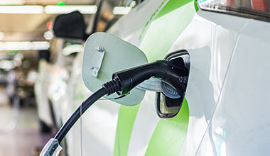 如何选择生物质颗粒原材料？