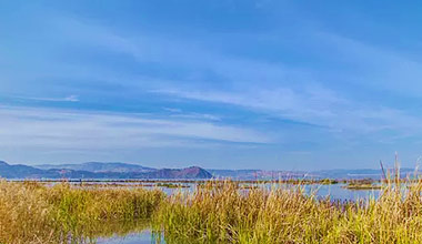 杜绝生物质锅炉燃料结渣结焦